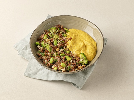 [9104904] Gold Energy